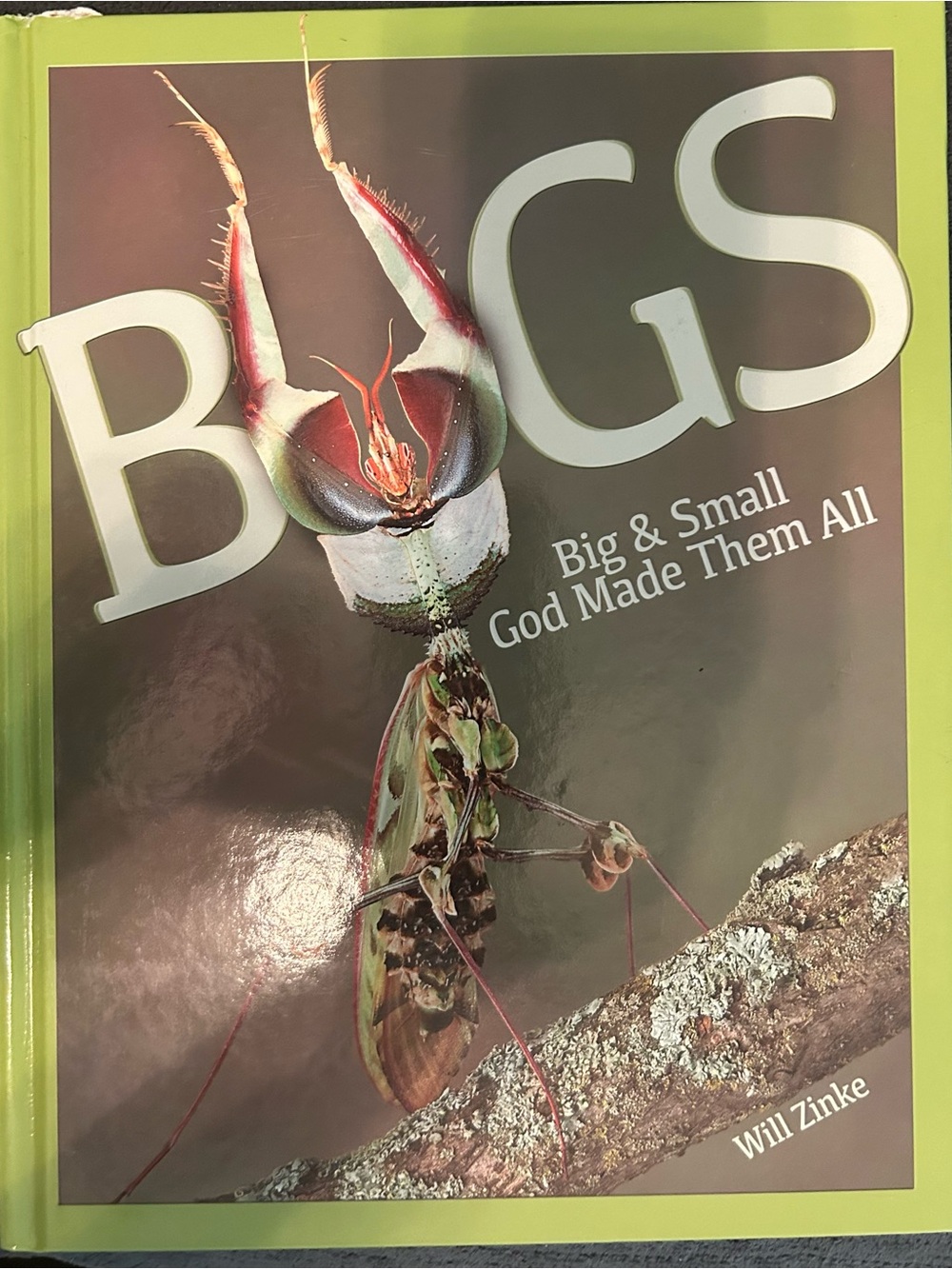 Master Books- Bugs: Big & Small God Made them All
